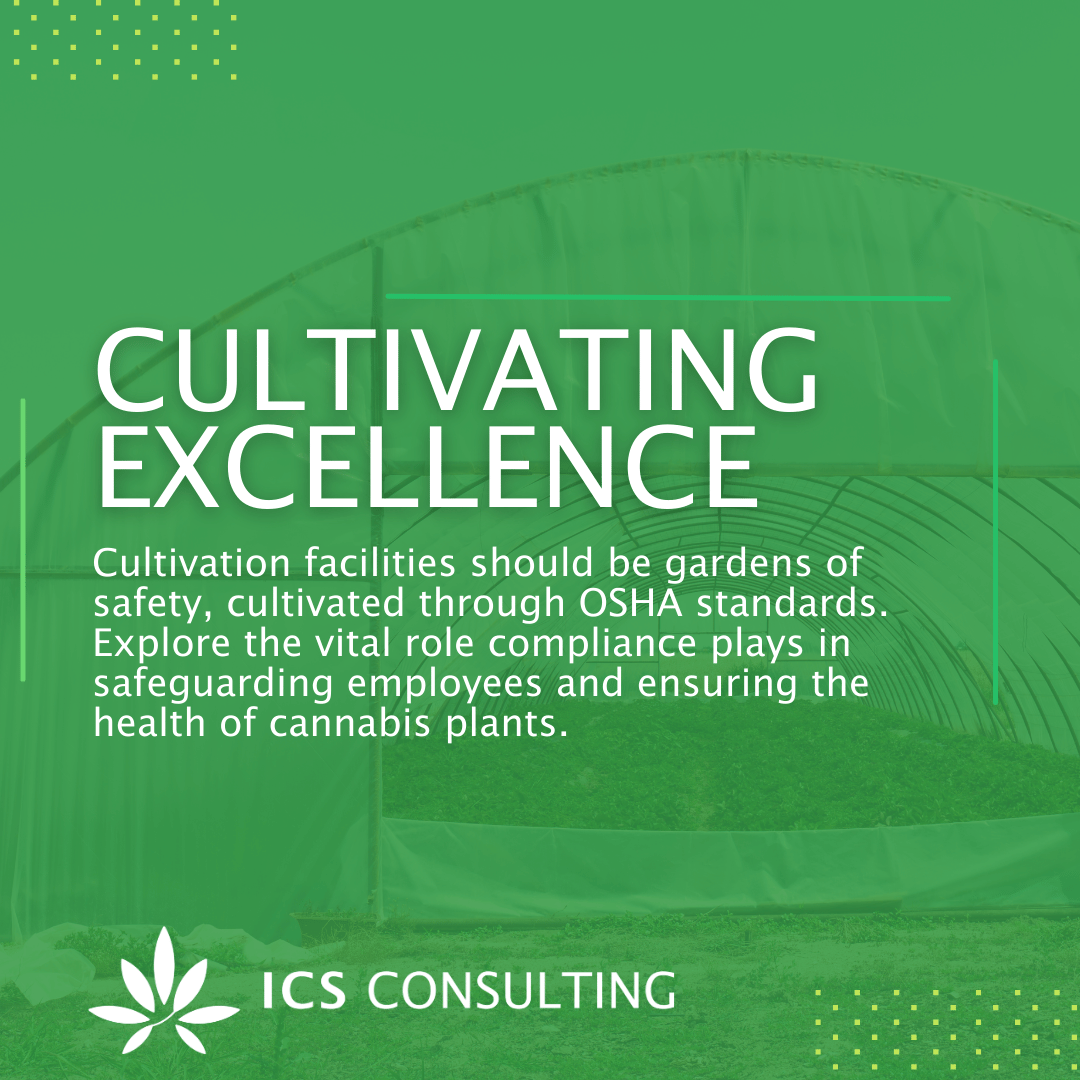 Green promotional graphic featuring the words 'Cultivating Excellence' with text discussing safe cultivation facilities and OSHA standards for cannabis plant health and employee safety. Includes ICS Consulting logo with a stylized cannabis leaf.
