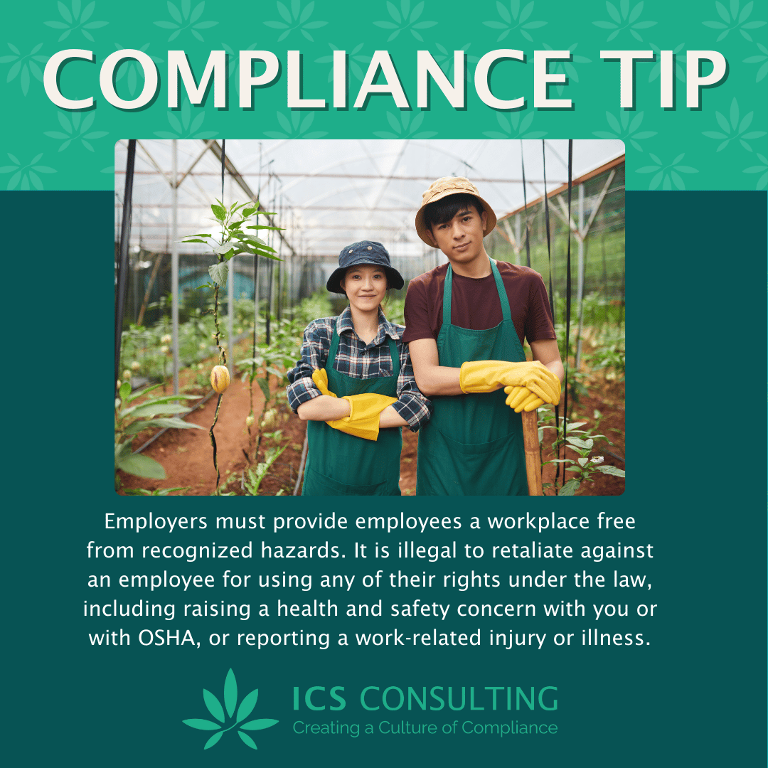 Two people in a greenhouse with vegetables, wearing aprons and gloves, promoting workplace compliance and safety with text guidance on employee rights and employer responsibilities. ICS Consulting logo included.
